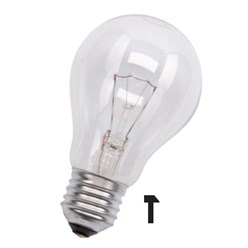 Vezalux Gloeilamp standaard Lampen voor verlichtingsarmaturen